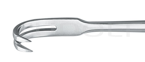 RU 4506-02 / Retractor Kocher, Sharp, 2 Prongs 22,5 cm
/8 3/4"