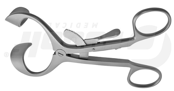 RU 8402-14 / Molt Mouth Gag, Molt(Doyen-Collin) , 5.5"