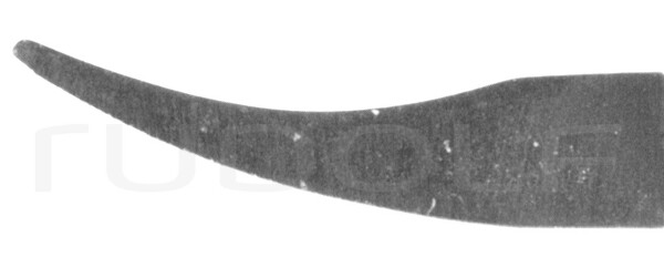 RU 5975-10 / Portaghi Barraquer-Troutman