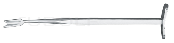 RU 5482-17 / Meniscotomo Smillie