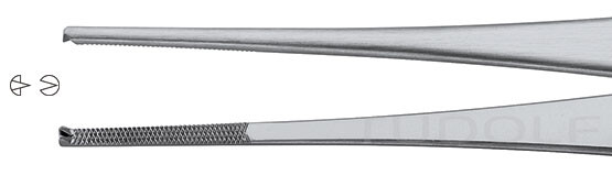 RU 4138-15 / Tissue Fcps. Gillies, Str., 1x2 T. 15,5 cm, 6 3/4"