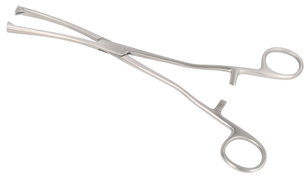 RU 7191-08 / Museux Ten. Fcps. Cvd., 8mm
, 24cm

