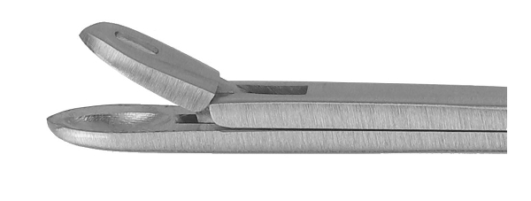 RU 7884-10 / Ear Forceps Strümpel, Straight, Width Of Jaw 2.5 mm, Wl:10 cm - 4"