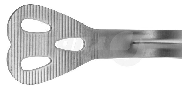 RU 8442-02 / Wieder Tongue Depr., Large, Fenestr.