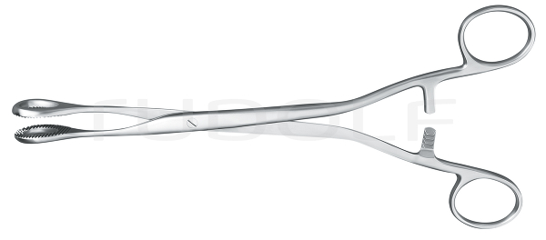 RU 7218-25 / Heywood-Smith Pol. Fcps., 25,0 cm, 10"