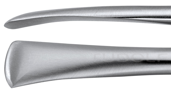 RU 5384-30 / Raspatorio Cushing, Rotondo,