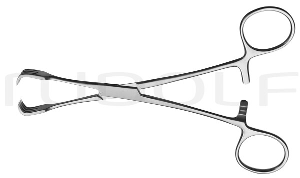 RU 7197-16 / Pinza Per Abbassare L'utero Braun 15,5cm