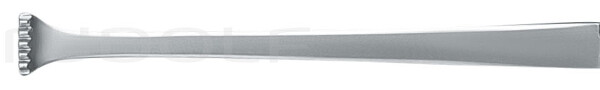 RU 6508-15 / Boys-Allis Forceps, 15cm