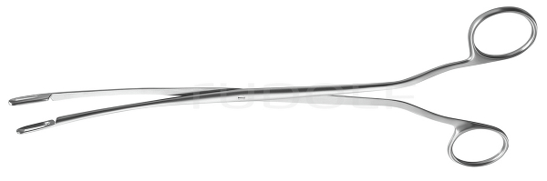 RU 6658-23 / Pince P. Calculs Biliaires Desjardins Fig. 2