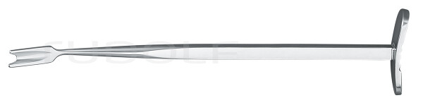 RU 5482-17 / Meniscotomo Smillie