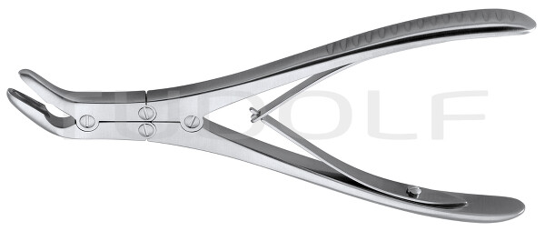 RU 5594-02 / Pinza Sgorbia Ruskin