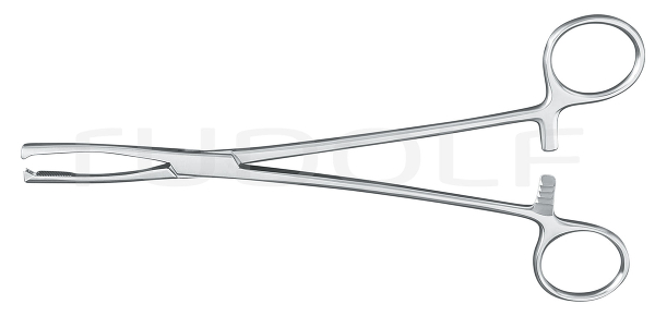 RU 7210-21 / Jacobs Tenac. Fcps., Str., 21cm
