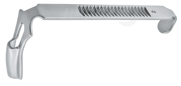 RU 8383-02 / Baja-Lengua Fig. 2,P. RU 8383-00