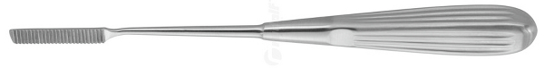 RU 8274-21 / Nasenraspel Cottle, 21 cm