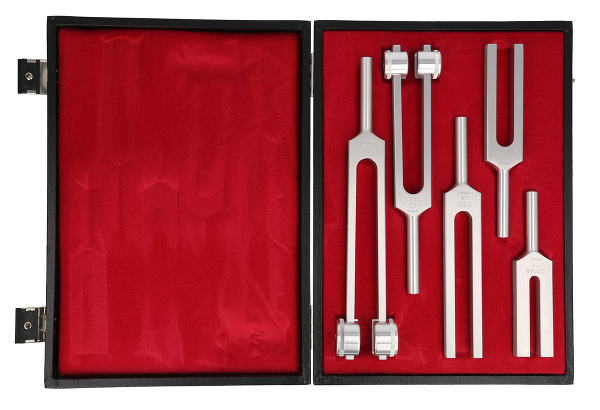 RU 7832-05 / Tuning Forks Set Of 5 Piece Made Of Aluminium-Magnesium-Alloy in Case
