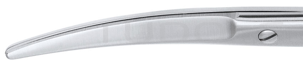 RU 1253-23 / Dissecting Scissors Mayo, Cvd., TC 23 cm, 9"