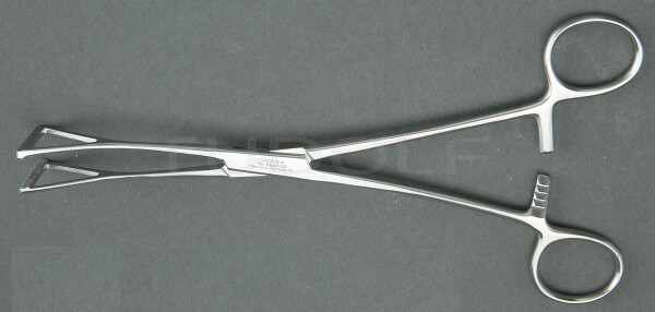 RU 6522-20 / Duval Forceps, Large, 20cm