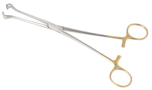 RU 6519-20 / Babcock Forceps, TC, (L) 21 cm - 8 1/4"