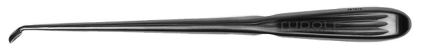 RU 5351-63 / Cucchiaio Tagliente, Bruns, Fig. 3,Curvo
