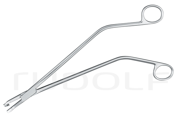 RU 7256-26 / Schubert Biopsy Fcps., 26cm
