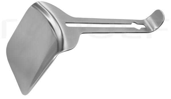 RU 4829-23 / Valva O'sullivan-O'connor, Sola 110x70mm