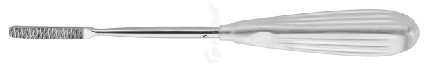 RU 8268-05/05 / Parkes Raspel, 20,5 cm, Tc,Fig. 5