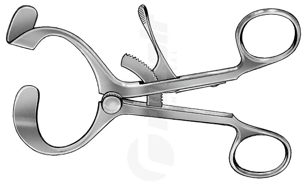 RU 8402-11 / Molt Mouth Gag, Molt, (Doyen-Collin), 4.5"
