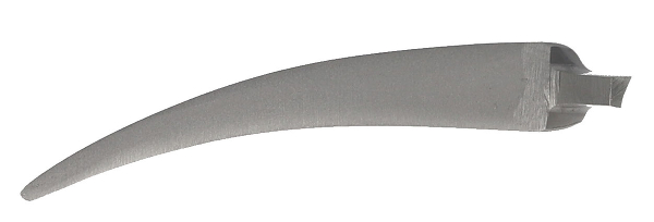 RU 3118-02 / Dissecting Forceps for Vasectomy (L) 13.5 cm - 4 1/4"
