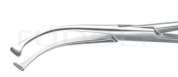 RU 8557-19 / Pinza P. Amigdalas Colver, Cur.