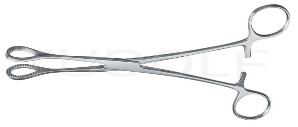 RU 6617-21 / Heywood-Smith Fcps., 21cm