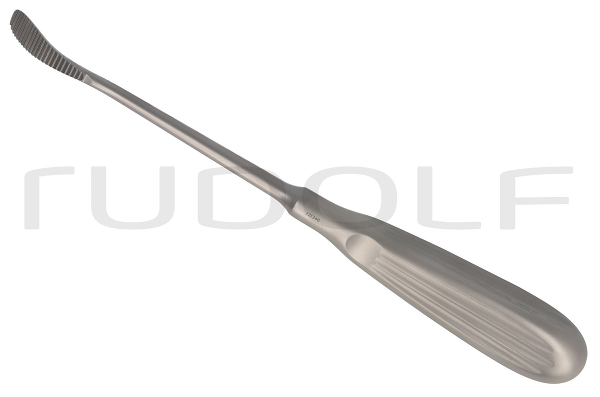 RU 8275-02 / Nasenraspel Aufricht, 22 cm