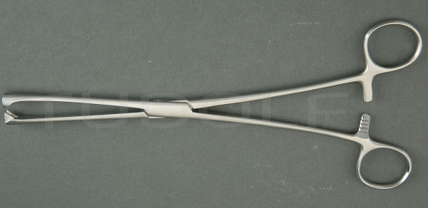 RU 7190-08 / Museux Ten. Fcps. Str., 8mm
, 24cm
