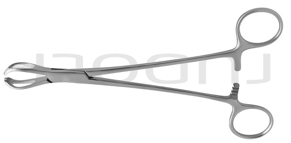 RU 3622-20 / Pinza Fissateli Lane 20,0 cm