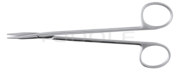 RU 1580-15 / Dissecting Scissors, Reynolds, Fine 15,5 cm - 6"