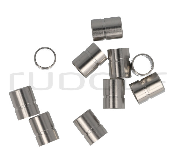 RZ100-010 / Endoscope-Adaptor Wolf