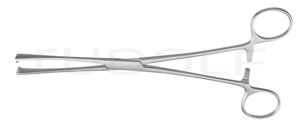 RU 6509-20 / Darmfasszange Lockwood-Allis