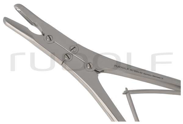RU 5594-53 / Pinza Sgorbia Ruskin, Retta