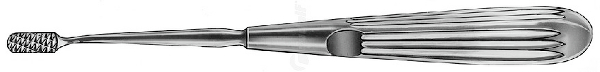 RU 8273-01 / Nasenraspel Lewis, Fein
