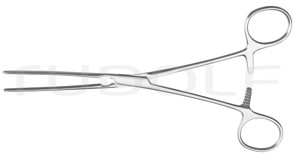RU 6540-21 / Mayo-Robson Fcps., Str., 21cm