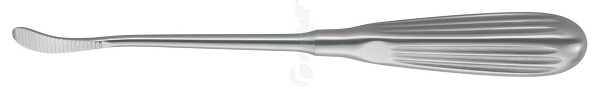 RU 8275-01 / Nasenraspel Aufricht, 22 cm