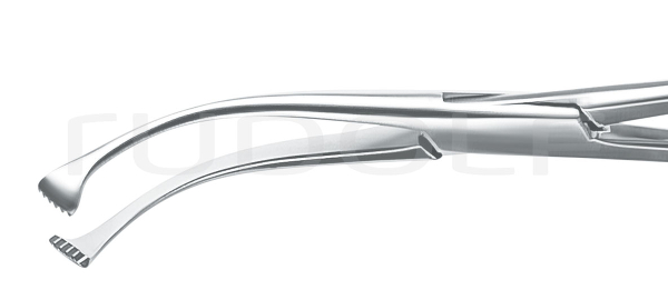 RU 8557-19 / Colver Tonsil Hold. Fcps., Cvd., 7.5"