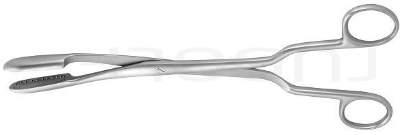 RU 6696-81 / Pince P. Calculs Lewkowitz, Crbée, 24,5cm
