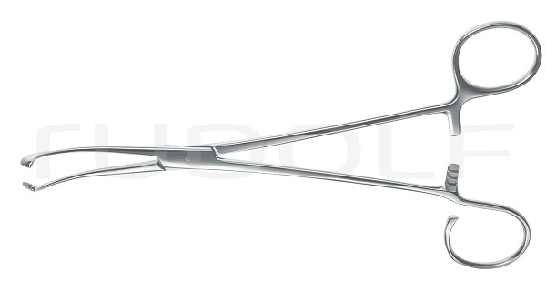 RU 8557-19 / Pinza P. Amigdalas Colver, Cur.