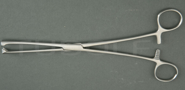 RU 7190-08 / Pinza Per Abbassare L'utero Museux Retta, 8mm, 24cm