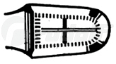 RU 7255-21 / Schubert Biopsy Fcps., 21cm
