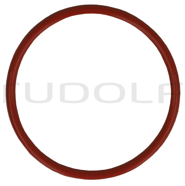 RZ006-055 / Anello Di Guarnizione, 10 Pezzi 5,5mm