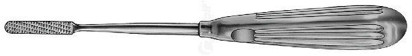 RU 8268-05/01 / Parkes Raspel, 20,5 cm, Tc,Fig. 1