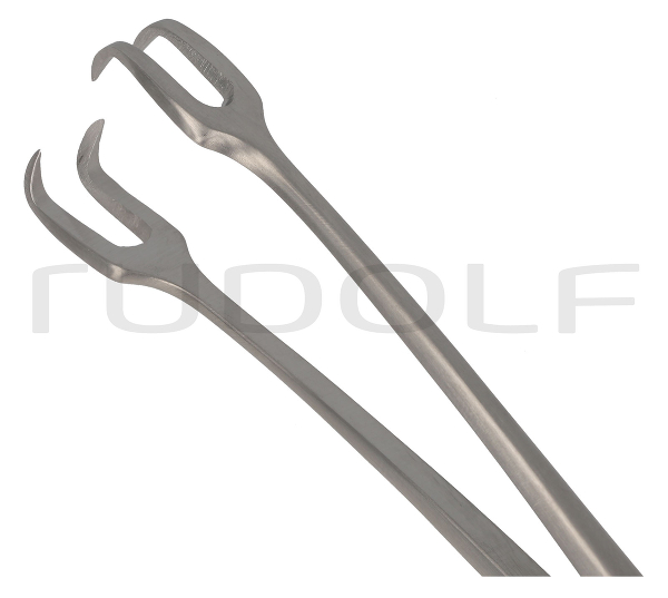 RU 7181-24 / Schröder Tenac. Fcps., Cvd., 24cm
