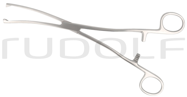 RU 7191-06 / Museux Ten. Fcps. Cvd., 6mm
, 24cm
