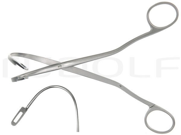 RU 6639-19/1 / Randall Kidney Fcps., 19cm